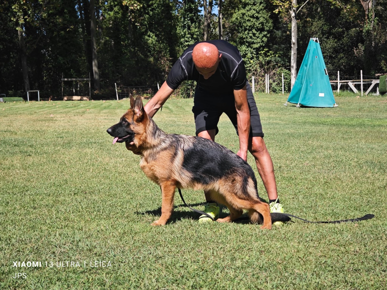 Fotografía original de un Pastor Alemán posando de perfil con su guía en un campo de entrenamiento
