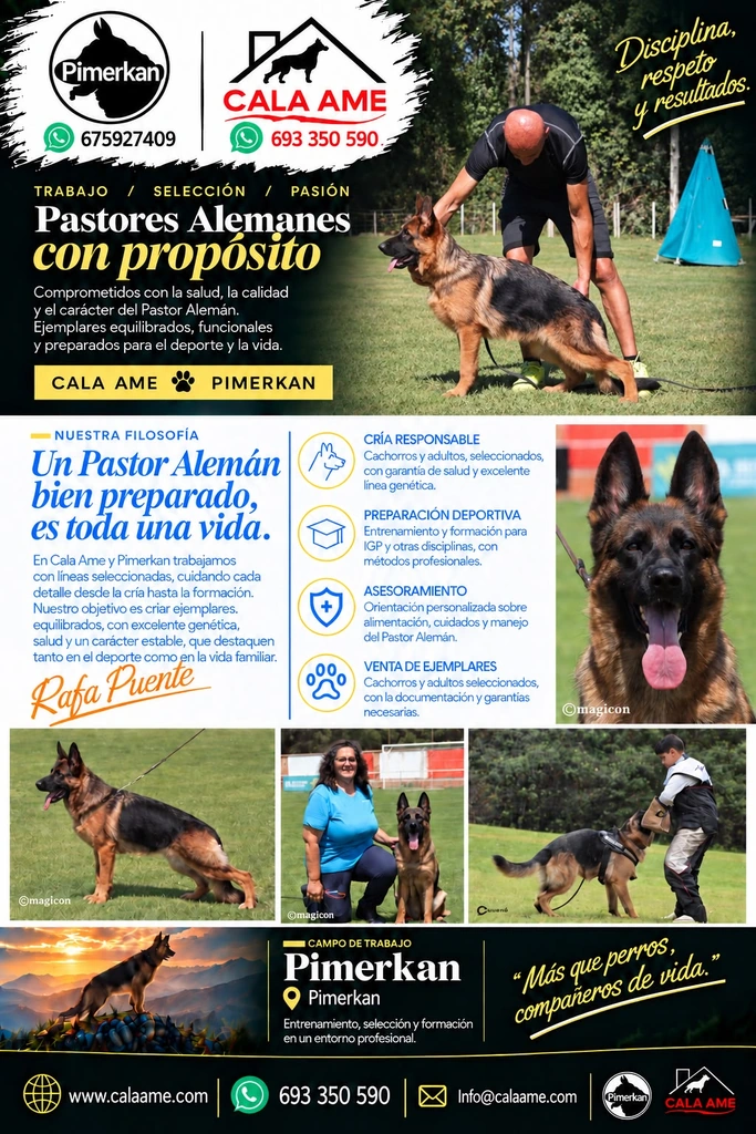Cartel de CALA AME y Pimerkan con información de trabajo, selección y pasión